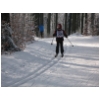 WSV Schotten LL 02 2012 06.JPG